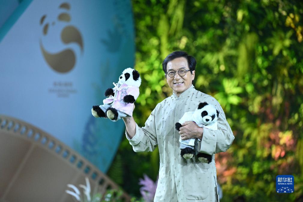 足球资讯app